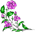 flower_a2.gif (4207 �o�C�g)