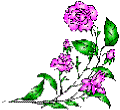 flower_a3.gif (4193 �o�C�g)
